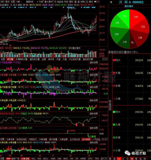 1月18日A股物业管理板块资金净流入排行榜TOP10